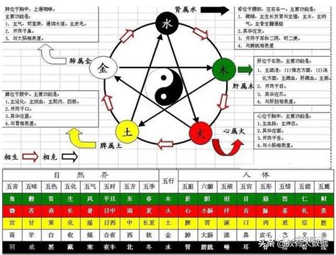 天运五行属水